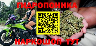 кокс Боровичи