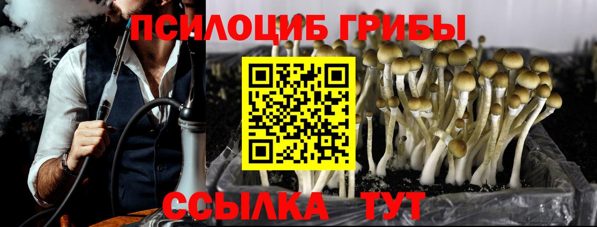 Соликамск  Псилоцибиновые грибы мухоморы  Вход с VPN 
